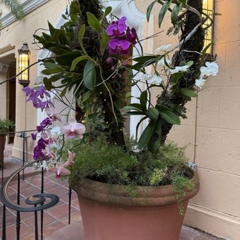 Fontana Restaurant - Italian Near Me - Coral Gables, Florida Fontana Restaurant - Italian Near Me - Coral Gables, Florida