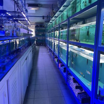 Rainbow Aquarium and Pond - Aquarium Services Near Me - Arleta, California Rainbow Aquarium and Pond - Aquarium Services Near Me - Arleta, California