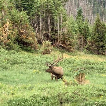 WildSide 4x4 Tours - Elk - Tours Near Me WildSide 4x4 Tours - Elk - Tours Near Me