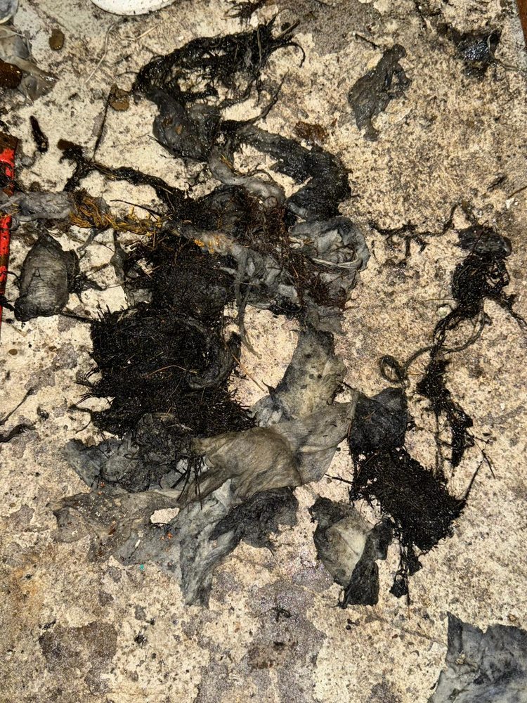 Slide of The Sewer Guys