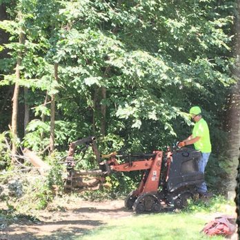 Aspenwall Tree Service - undefined - Tree Services Near Me