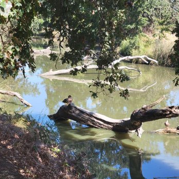 Del Meyer Park - Parks Near Me - Elk Grove, California Del Meyer Park - Parks Near Me - Elk Grove, California