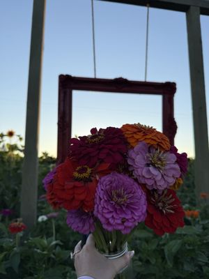 Bob's Corn & Pumpkin Farm by null