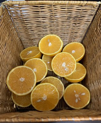 David's Bagels west nyack & Healthy Eatery by null