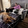 Photo of Sit Means Sit Dog Training Murfreesboro