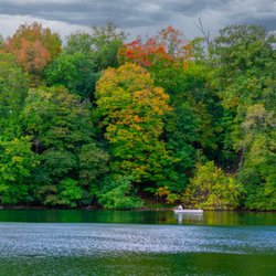 Pinhook Park