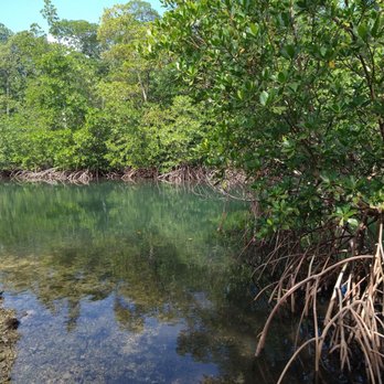 Arch Creek Environmental Preserve - Parks Near Me - North Miami, Florida Arch Creek Environmental Preserve - Parks Near Me - North Miami, Florida