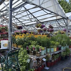 Hewitt's Garden Centers