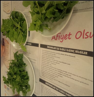 Canım Ciğerim by null