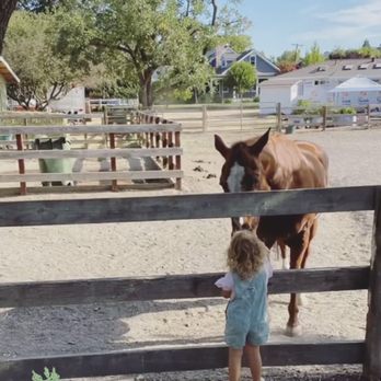 All Seasons Horse Riding - Two years agao - Horseback Riding Near Me - Pleasanton, California All Seasons Horse Riding - Two years agao - Horseback Riding Near Me - Pleasanton, California