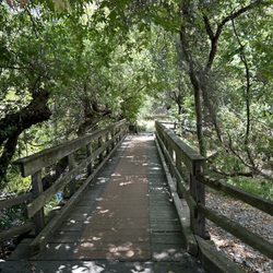Petaluma Adobe State Historic Park