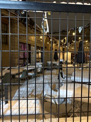 Trace Brewing by null