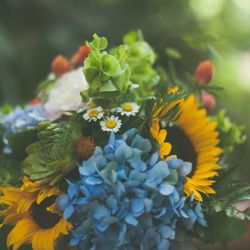 Petal Passion