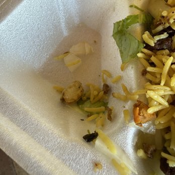 Gyro King - Food Trucks Near Me - Houston, Texas Gyro King - Food Trucks Near Me - Houston, Texas