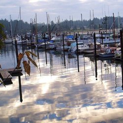 Charleston Marina