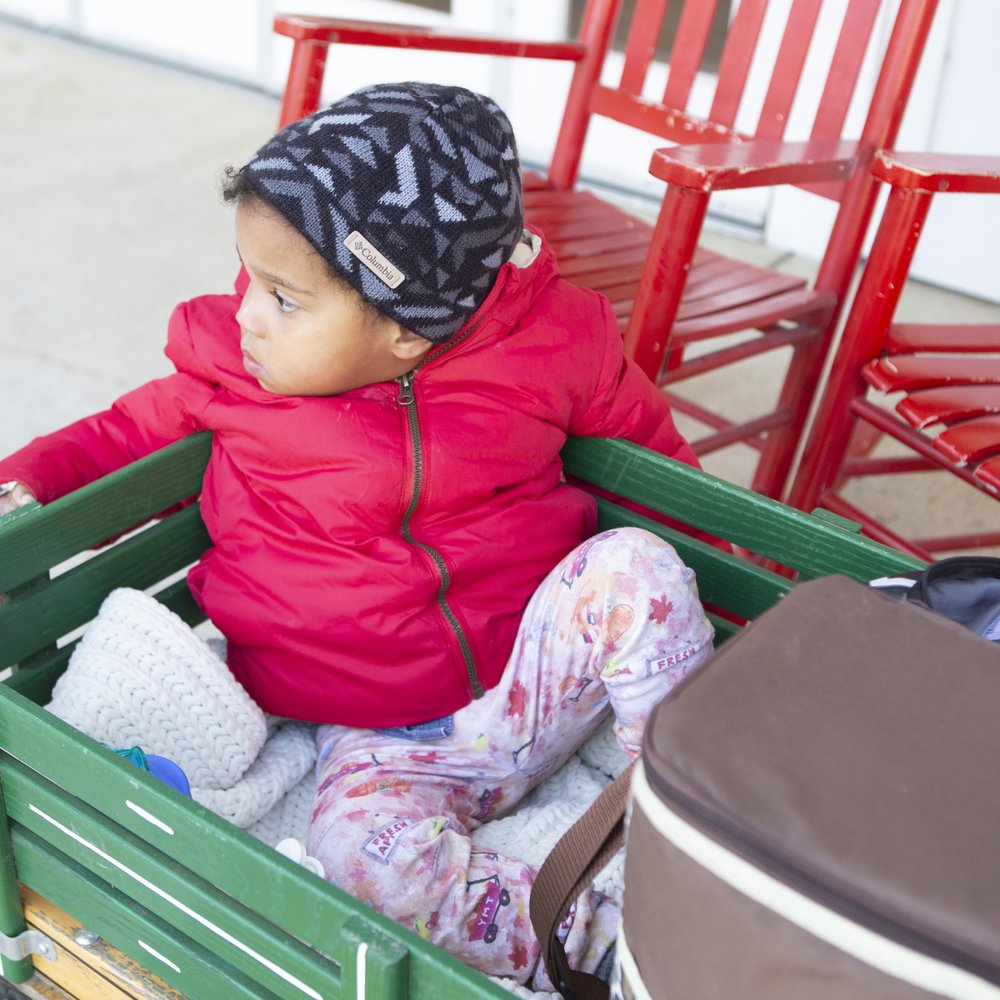 If you bring a wagon or stroller, make sure it has big sturdy tires. If you bring a wagon or stroller, make sure it has big sturdy tires.
