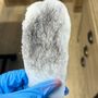 Photo of Skin by Sigh