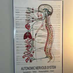 Brambert Chiropractic And Acupuncture