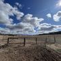 Photo of Story Tree Ranch