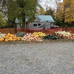 Bry-Anne Farms - Pumpkins galore