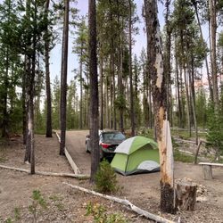 Thousand Springs Sno-Park / Staging - A view around Thousand Springs. This is a terrific roadside campground with a nice and quiet forest atmosphere.
