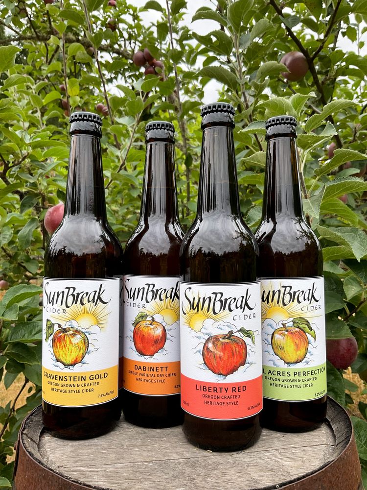 Sun Break - vineyard in Salem, OR