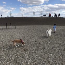 Paisley Off Leash Dog Park