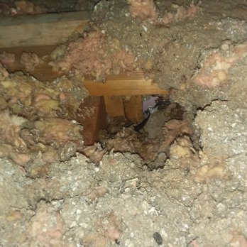 Fortus Electric - Yup you guessed right...nothing! I thought that they are supposed to be terminated in a box, but what do I know. Chuck's the professional! - Electricians Near Me - Winston-Salem, North Carolina