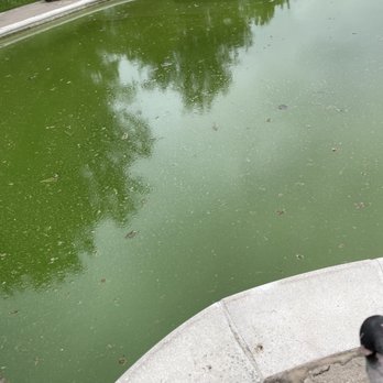 Millennium Pools & Spas - Pool Cleaners Near Me - Springfield, Virginia