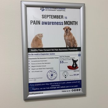 Healthy Paws Forward Veterinary Hospital - September is pain awareness month! - Veterinarians Near Me - Calgary, Alberta Healthy Paws Forward Veterinary Hospital - September is pain awareness month! - Veterinarians Near Me - Calgary, Alberta