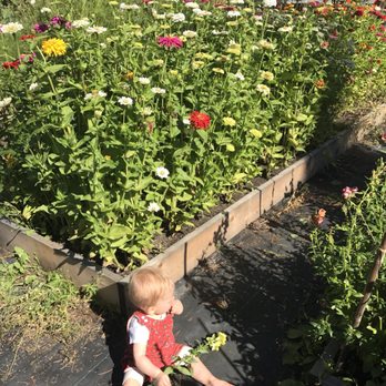 Birchwood Meadows - Nurseries & Gardening Near Me - Sturgeon County, Alberta Birchwood Meadows - Nurseries & Gardening Near Me - Sturgeon County, Alberta