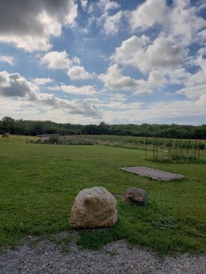 Hinterland Wine Company by null