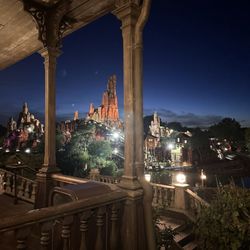 Phantom Manor - The views from the queue are incredible (especially at night!)