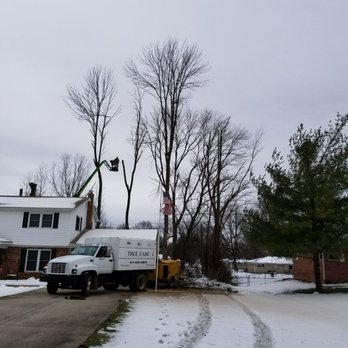 P&L Tree Service - Call Now to Schedule your Free Estimate. (317) 439-4810 - Tree Services Near Me P&L Tree Service - Call Now to Schedule your Free Estimate. (317) 439-4810 - Tree Services Near Me