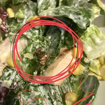 matchbox - Manager had the nerve to say "I understand you had an issue with your meal?". I showed him the picture. It was a healthy, crawling, BIG bug. - New American Near Me - Ashburn, Virginia matchbox - Manager had the nerve to say "I understand you had an issue with your meal?". I showed him the picture. It was a healthy, crawling, BIG bug. - New American Near Me - Ashburn, Virginia
