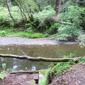 Samuel P Taylor State Park - View of Creek from Campsite - Parks Near Me - Lagunitas, California Samuel P Taylor State Park - View of Creek from Campsite - Parks Near Me - Lagunitas, California