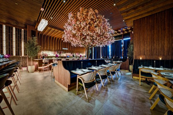 Wabi Nori Queens by null