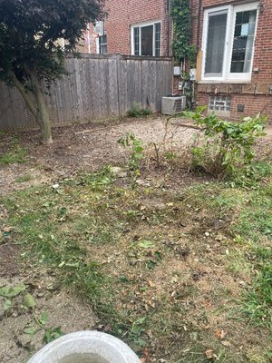 Demolition and Junk Solutions on Yelp