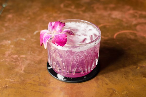 Aviator Nation Dreamland by null