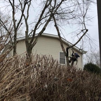 Dos Tree Service - Secure tree climbing - Tree Services Near Me - St. Charles, Illinois