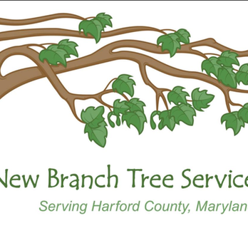 New Branch Tree Service - untitled - Firewood Near Me New Branch Tree Service - untitled - Firewood Near Me