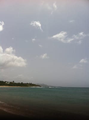 Steeple Building by null