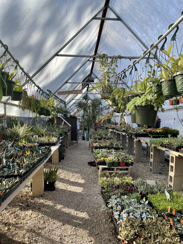 TILLERY STREET PLANT COMPANY 99 Photos & 102 Reviews 801 Tillery St