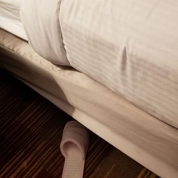 Best Western Salisbury Plaza - Added a linen to hide the old box springs - Hotels Near Me - Salisbury, Maryland
