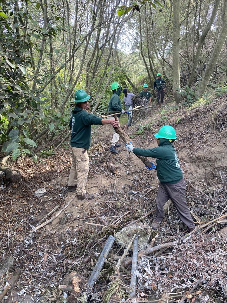 Conservation Corps North Bay - social services organization in Santa Rosa, CA