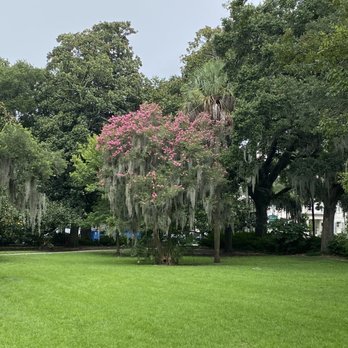 Forsyth Park - Parks Near Me - Savannah, Georgia Forsyth Park - Parks Near Me - Savannah, Georgia