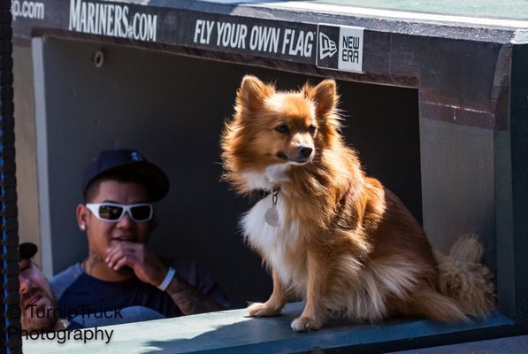 Northwest Film Forum by null