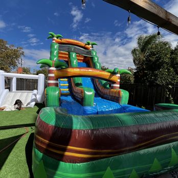A & A Party Rentals - Palm Tree Waterslide - Bounce House Rentals Near Me A & A Party Rentals - Palm Tree Waterslide - Bounce House Rentals Near Me