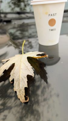 Abbot Kinney Blvd by null