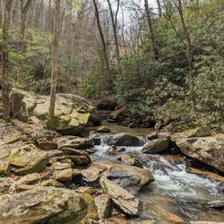 Pearson's Falls and Glen - Instagram: @telephonesmoothie
